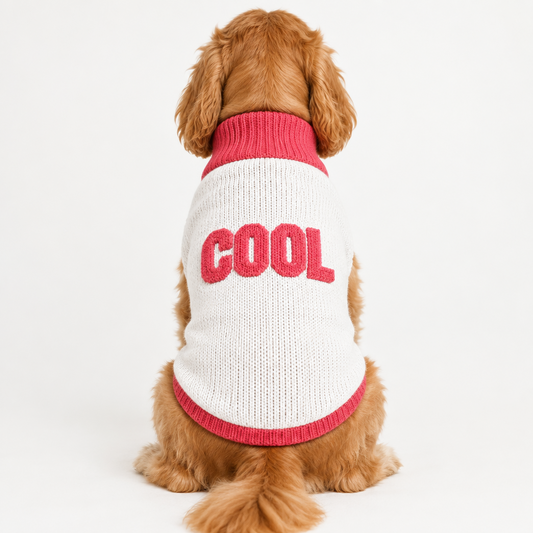 Love Knitted pet sweater