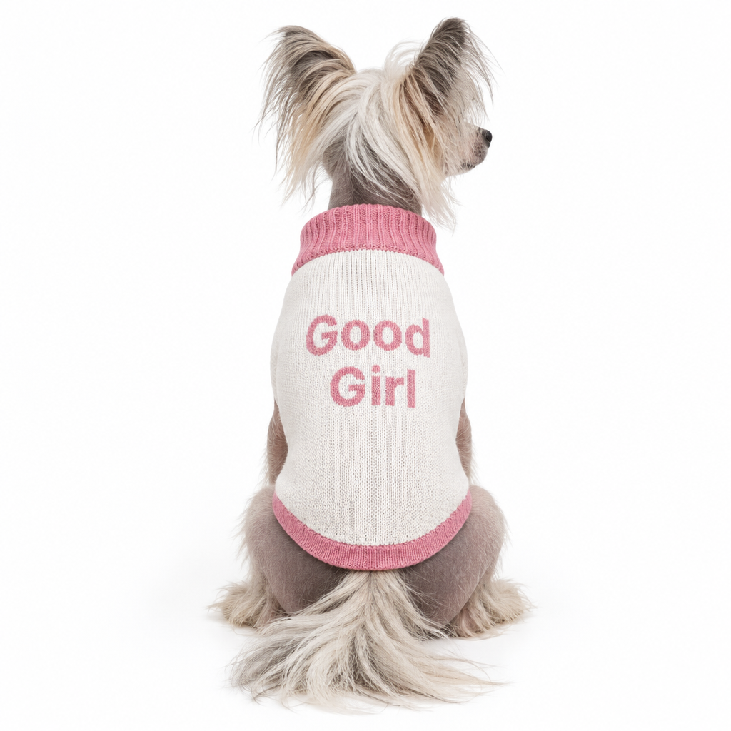 Good Girl Knitted pet sweater