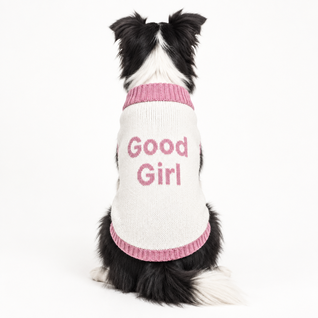 Good Girl Knitted pet sweater